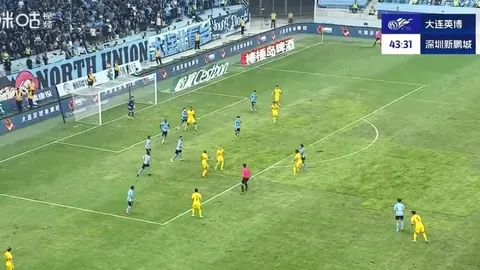 大乐透期号专家推荐：午夜皮甲质合分析新内容揭晓